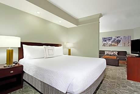 SpringHill Suites by Marriott Chesapeake Greenbrier