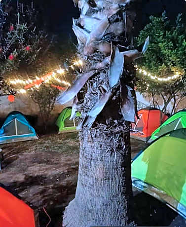 casas de campaña para Dia de Muertos