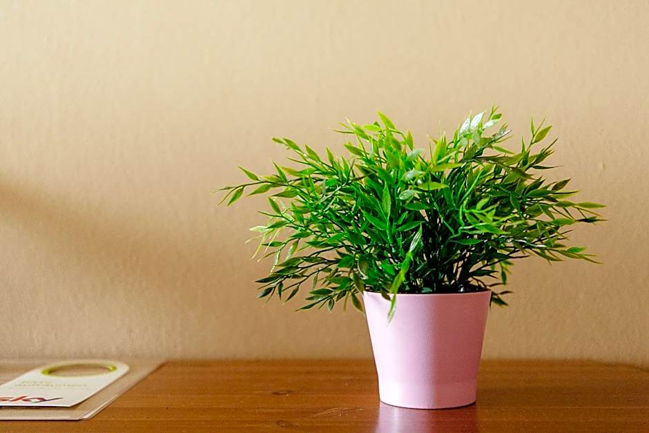 Landhotel Airport-Inn