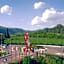 Hotel Valpolicella International
