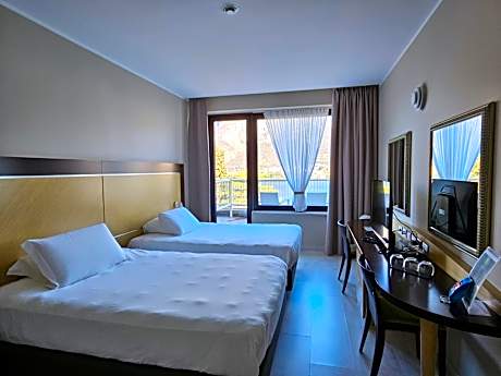 Double or Twin Room with Lake View