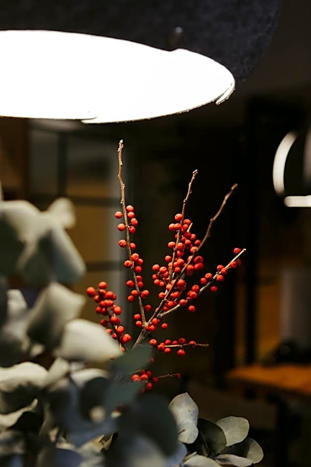 Hotel Garaiko Landetxea