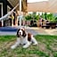 Hartley Homestead Boutique Bed & Breakfast
