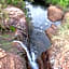 Milorho Lodge
