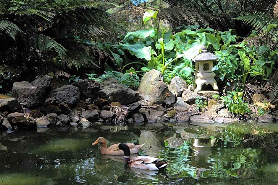 Tomah Retreat - Studio BREATHE with fireplace