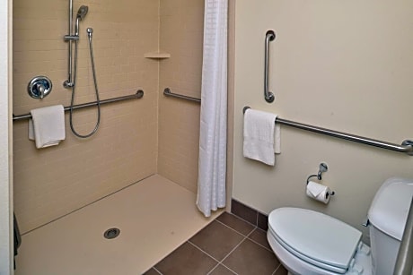 King Studio Suite - Disability Access Roll in Shower