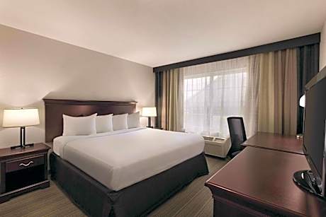 Superior Efficiency King Suite - Nonsmoking