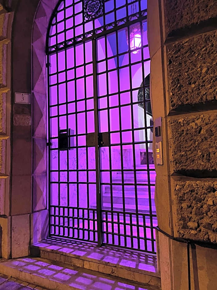 PALAZZO FIACCADORI - Historical Palace