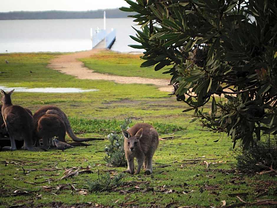 Waterfront Retreat At Wattle Point