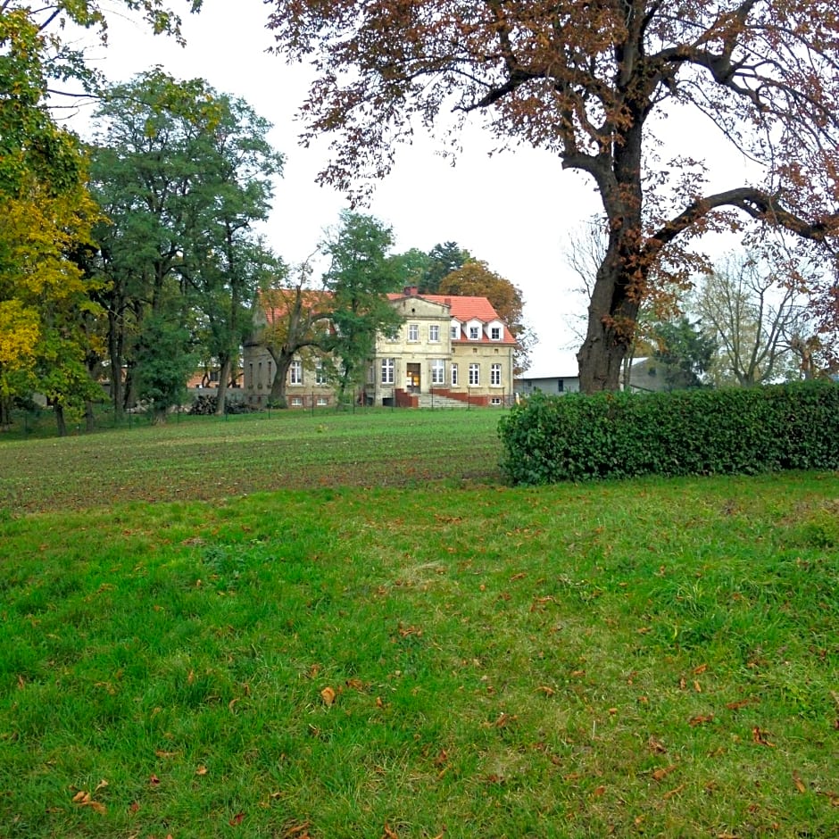 Palac Osowo gostynskie