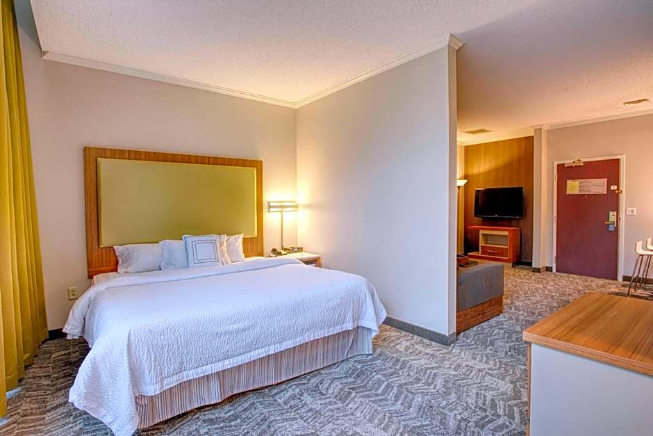Photo 1 of 5 of 1 King Bed Suite, Hearing/Mobility Accessible, Roll in Shower