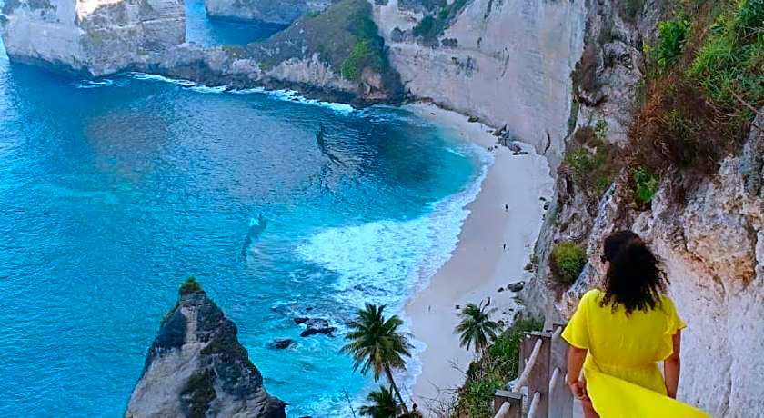 D transit RedPartner