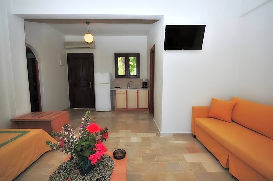 vassilias beach hotel