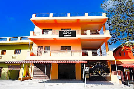 Collection O Auroville Pondicherry