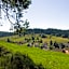 Auerhahn Bed and Breakfast - Black Forest - Waldhotel
