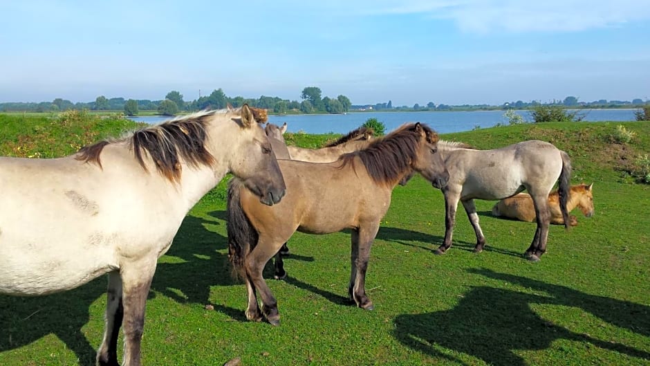 Bed and Breakfast Maas en Waal