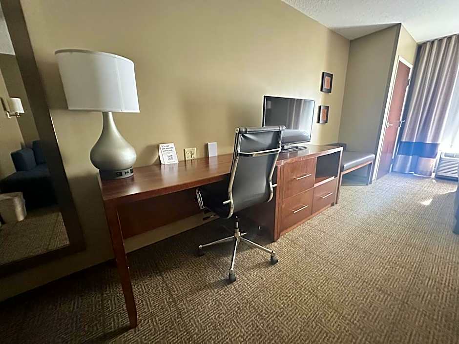 Comfort Suites Dunnellon near Rainbow Springs