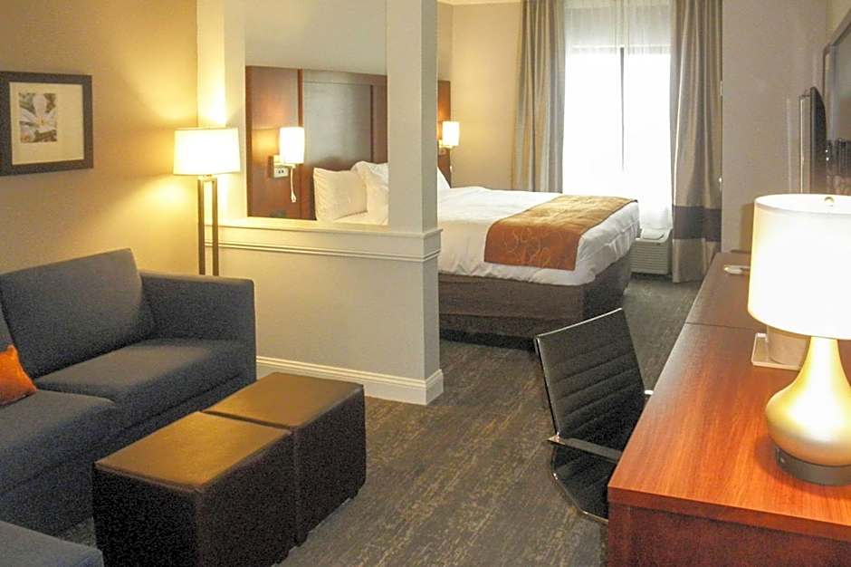 Photo 1 of 6 of 1 King Bed with Sofabed Suite, Accessible