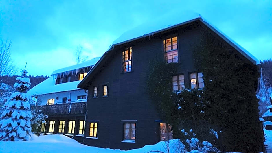 Hotel Maien