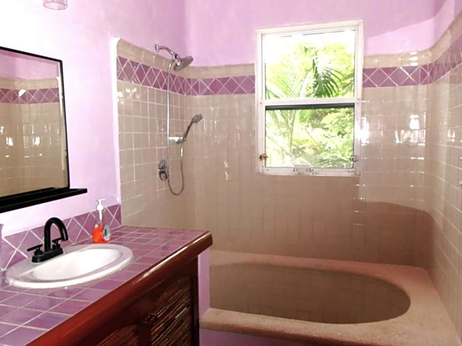 Casa Gatos