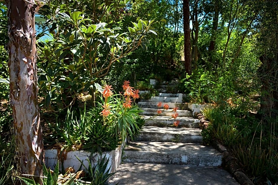 La Barranca de la Barca