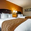 Comfort Inn & Suites Somerset