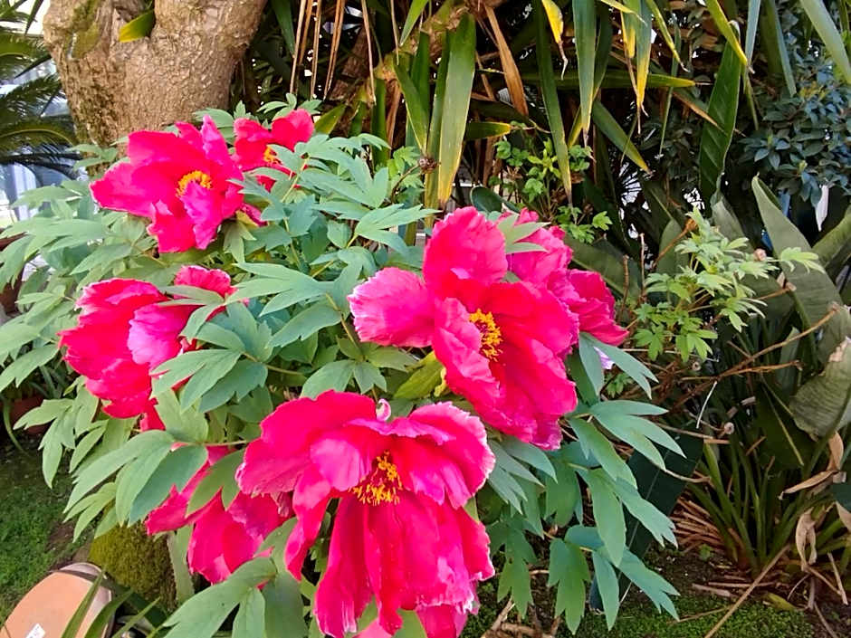 Casa per ferie religiosa Figlie di Nazareth
