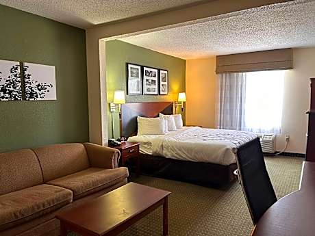 Suite-1 King Bed NSMK Sofabed For 1 TVs Microwave Fridge Wet Bar Continental Breakfast