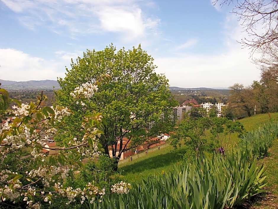 Domaine Lyon Saint Joseph