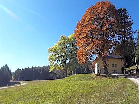 Chalet Musiera
