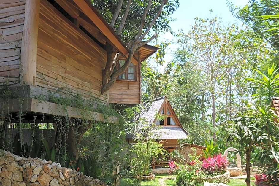 Roots Tree House