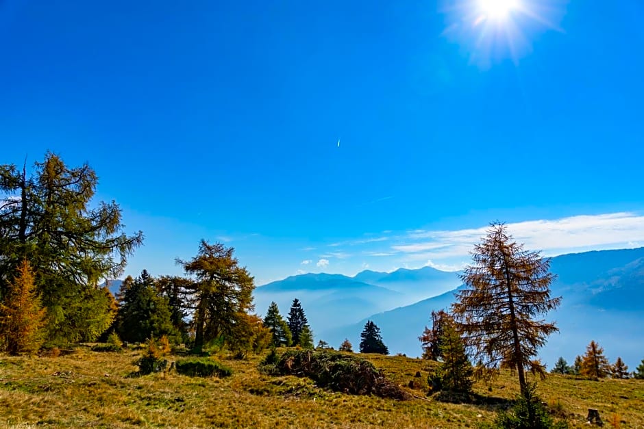 Brunner - Ferienwohnung im Hühnerhotel