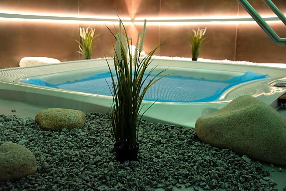 Anna SPA & Wellness Hotel Nejdek