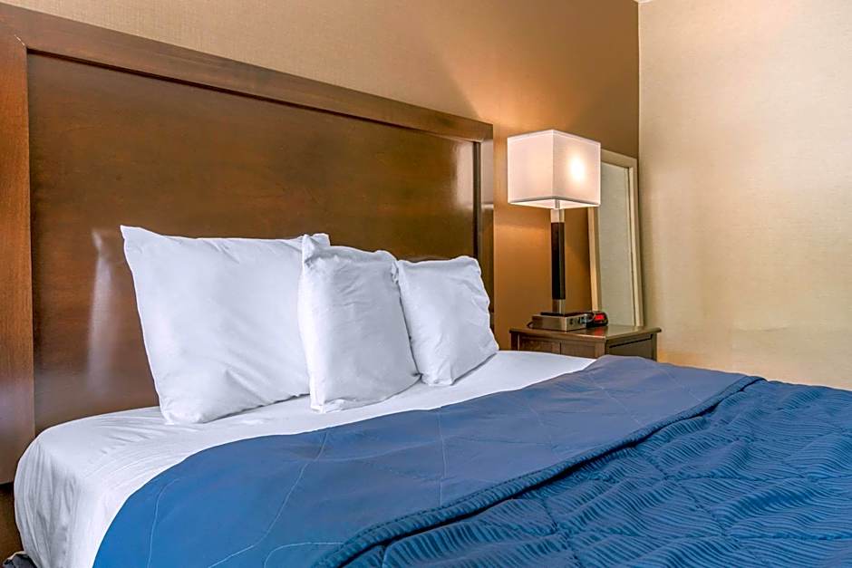 Rodeway Inn Chicago