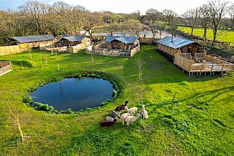 Jungle Book Safari Tent
