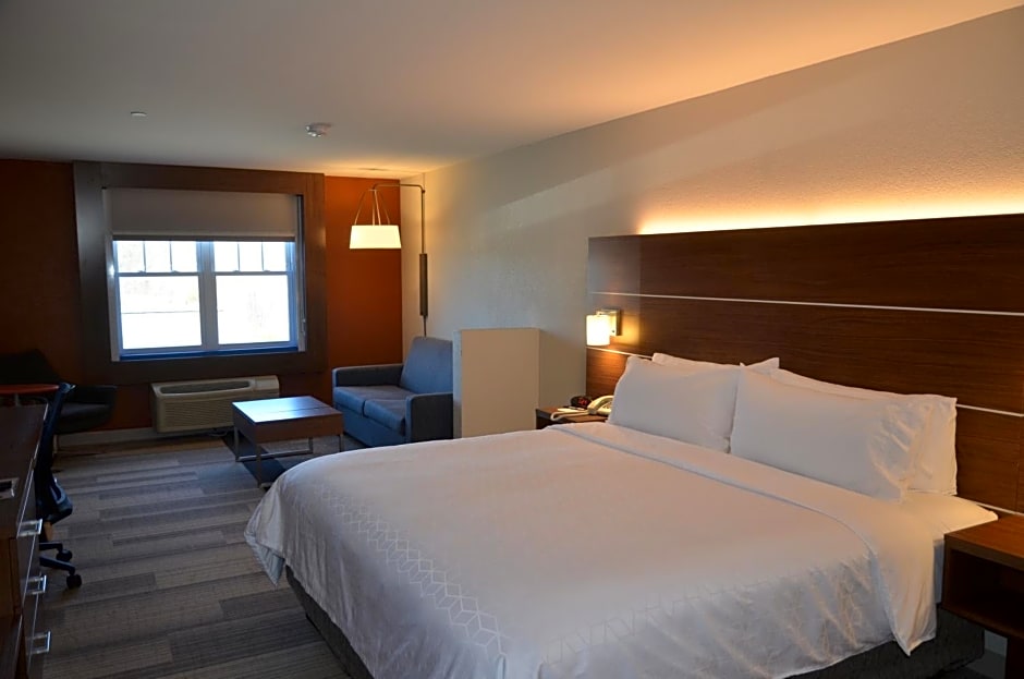 Holiday Inn Express Hotel & Suites Rochester