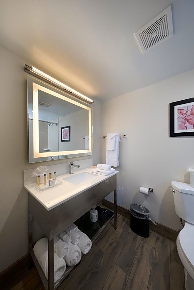 Holiday Inn Brookfield - Milwaukee By IHG