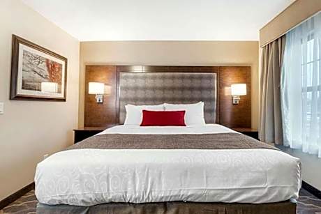QUEEN BED-STUDIO SUITE-ACCESSIBLE-NON SMOKING