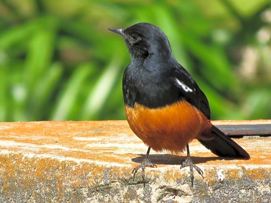 Valley of the Rainbow Fly Fishing Estate