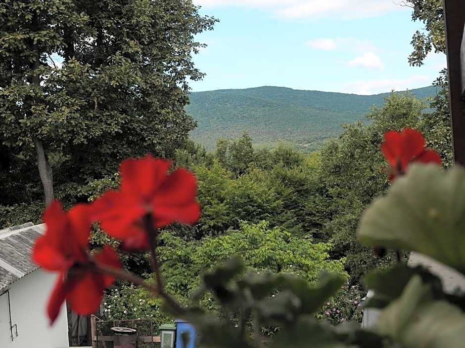 Rókabérc Vadászház Hotel