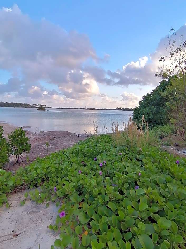 The Rose Garden House, Addu City, Maldives