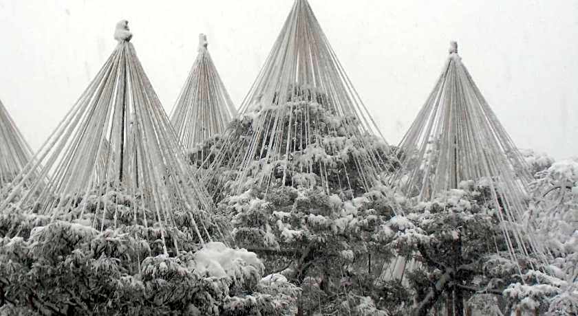 Kanazawa Share House GAOoo