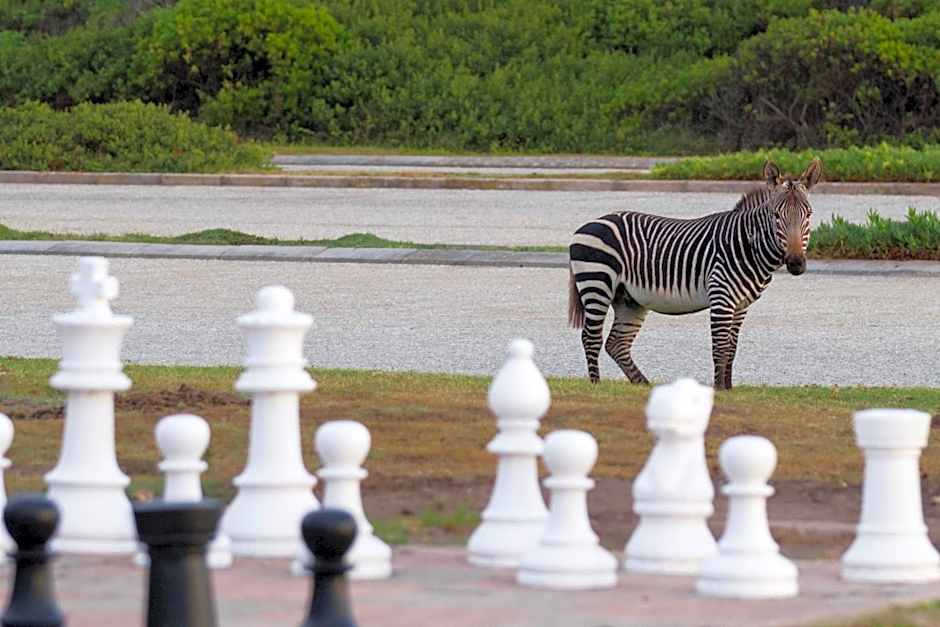 Gourikwa Coastal Nature Reserve