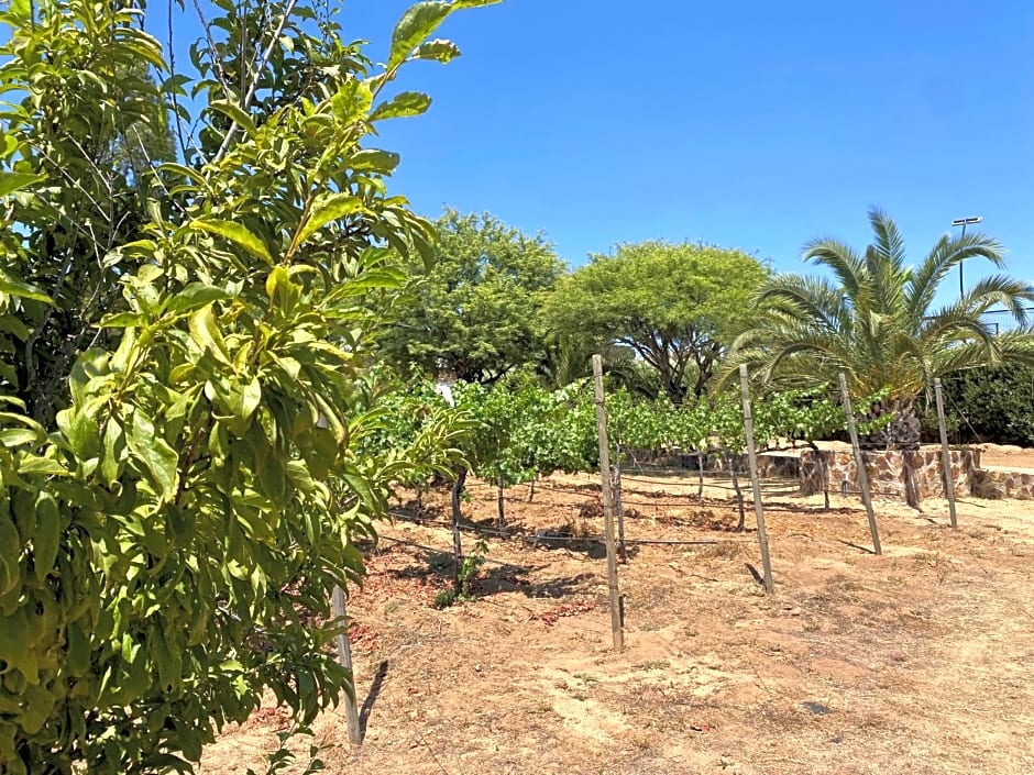 Tierra Mia Hacienda Ruta del Vino