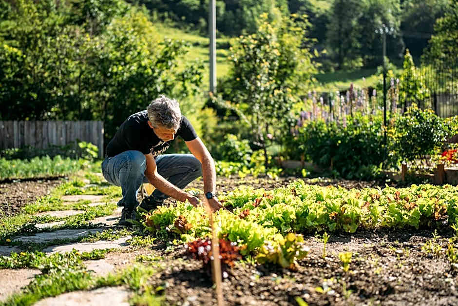 Albergo Locanda Mistral