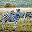 Nkomazi Game Reserve by NEWMARK