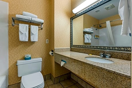 1 King Bed, Non-Smoking, Fireplace, Chair With Ottoman, Microwave And Refrigerator, High Speed Inter
