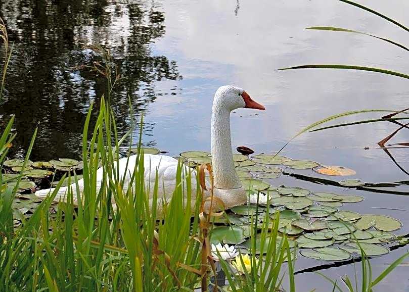 Hotel Marco Płońsk Szkolna 115
