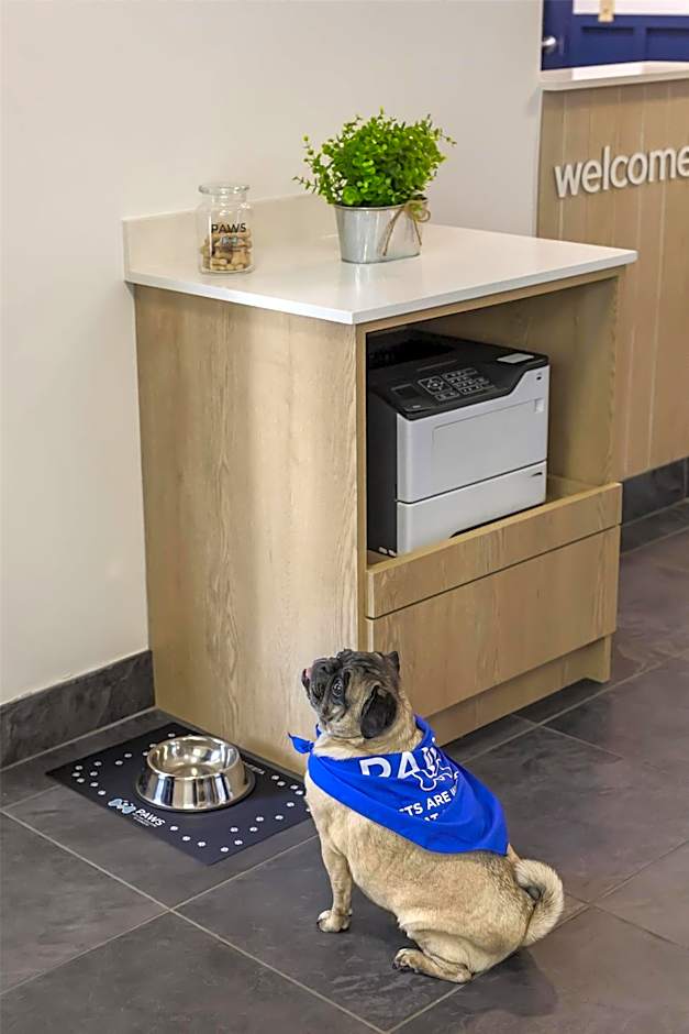 Sonesta Simply Suites Boston Burlington