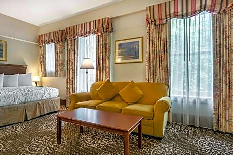 1 King Bed Non-Smoking Larger Room Sofabed Work Desk Mini Fridge Wi-Fi Continental Breakfast